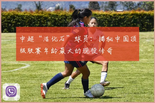中超“活化石”球员：揭秘中国顶级联赛年龄最大的现役传奇
